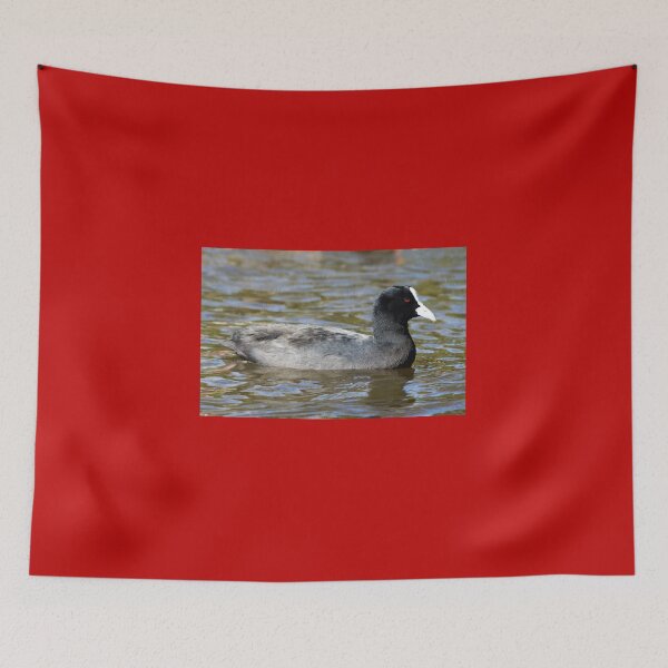 Item preview, Eurasian Coot or Australian Coot designed and sold by Dragonsfield.