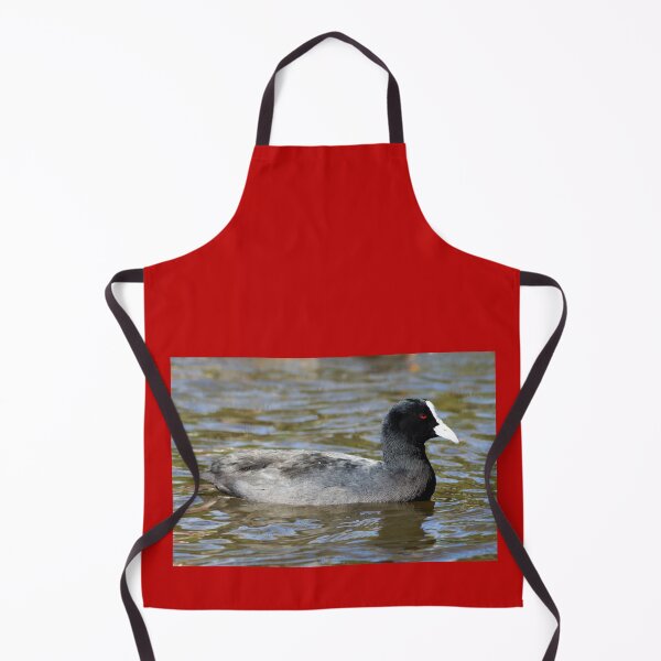 Item preview, Eurasian Coot or Australian Coot designed and sold by Dragonsfield.