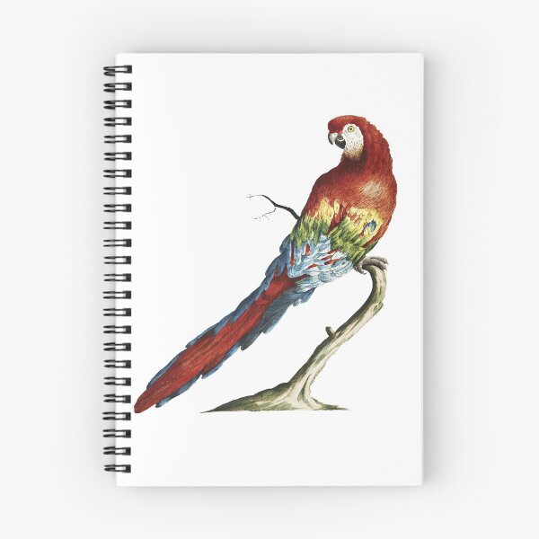 Item preview, Guacamayo designed and sold by monzareis.
