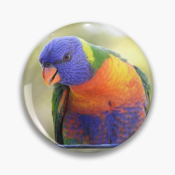 Item preview, Rainbow Lorikeet feeding designed and sold by Dragonsfield.