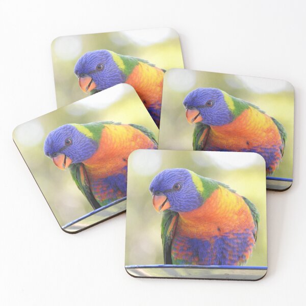 Item preview, Rainbow Lorikeet feeding designed and sold by Dragonsfield.