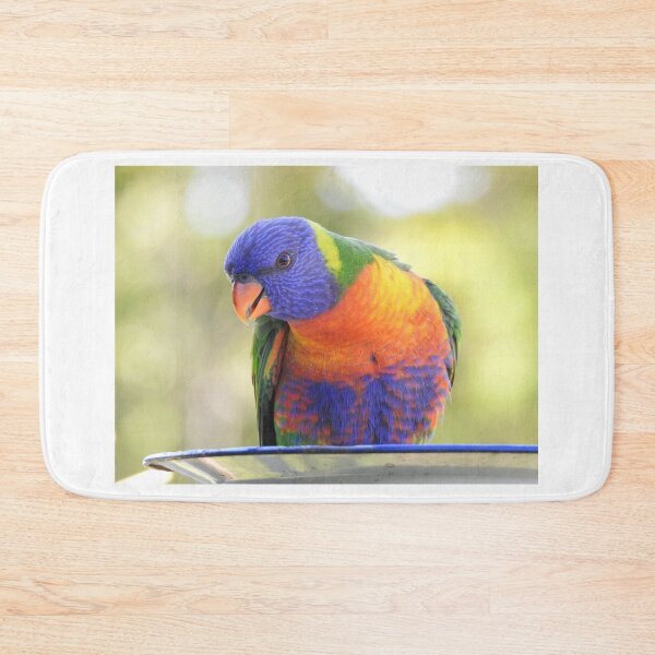 Item preview, Rainbow Lorikeet feeding designed and sold by Dragonsfield.