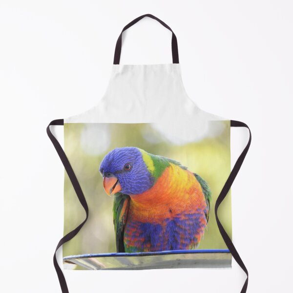 Item preview, Rainbow Lorikeet feeding designed and sold by Dragonsfield.
