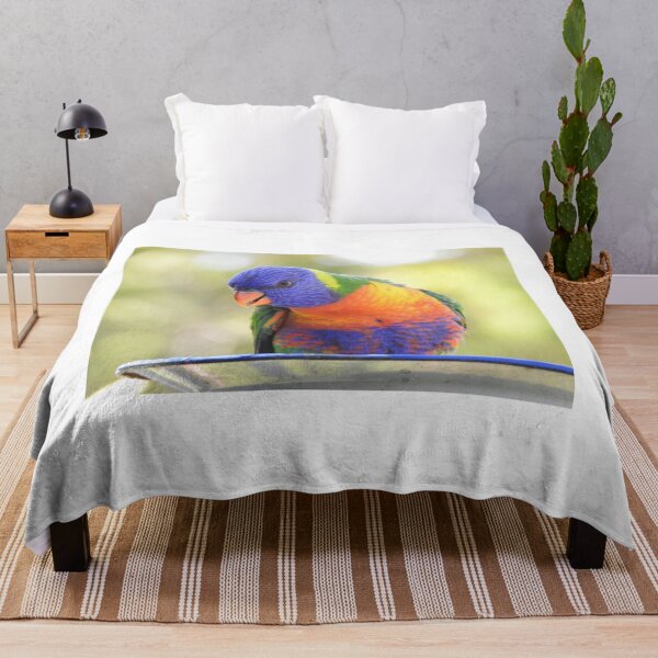 Item preview, Rainbow Lorikeet feeding designed and sold by Dragonsfield.