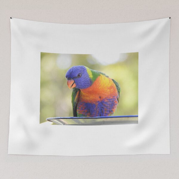 Item preview, Rainbow Lorikeet feeding designed and sold by Dragonsfield.