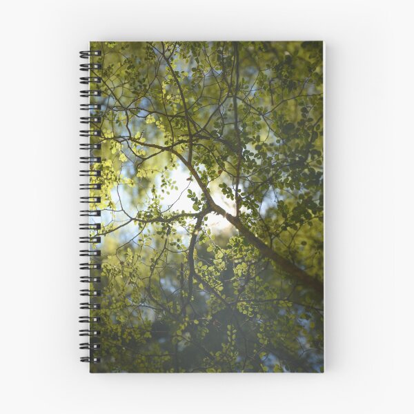 Aperçu de l'œuvre Des arbres créée et vendue par Niels Koervers.