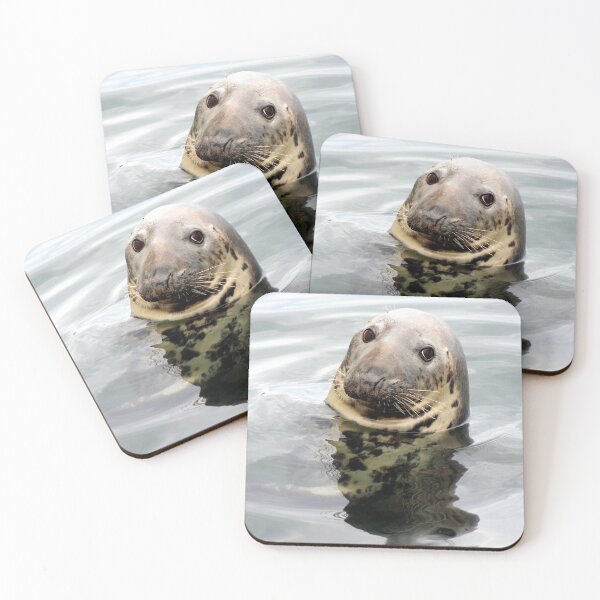 Item preview, Gray Seal designed and sold by Linda Sannuti.