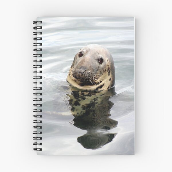 Item preview, Gray Seal designed and sold by Linda Sannuti.