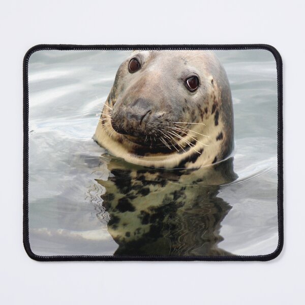 Item preview, Gray Seal designed and sold by Linda Sannuti.