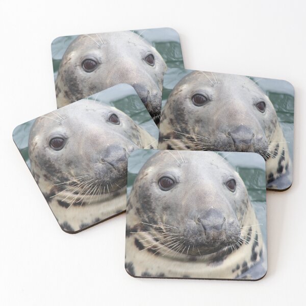 Item preview, Harbor Seal Closeup designed and sold by Linda Sannuti.