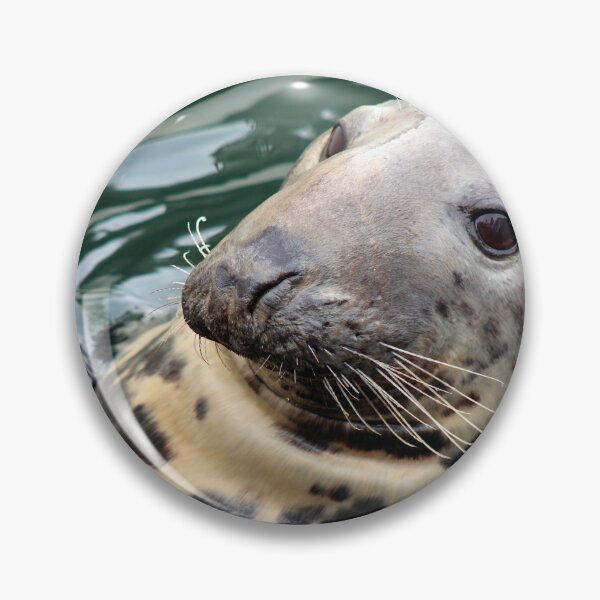 Item preview, Harbor Seal Side Profile designed and sold by Linda Sannuti.
