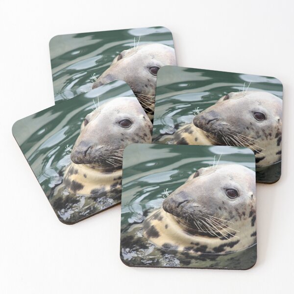 Item preview, Harbor Seal Side Profile designed and sold by Linda Sannuti.