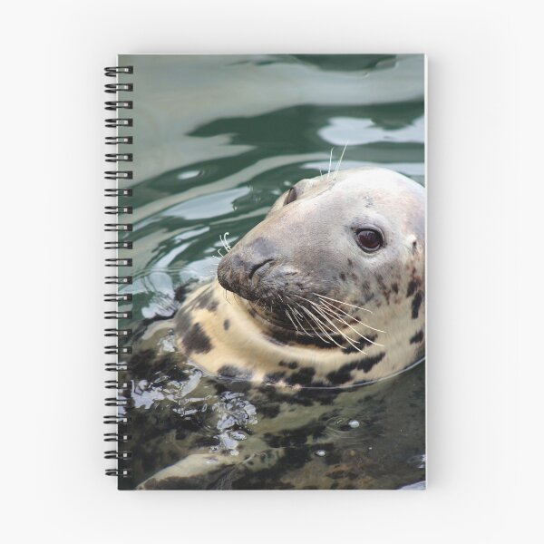 Item preview, Harbor Seal Side Profile designed and sold by Linda Sannuti.