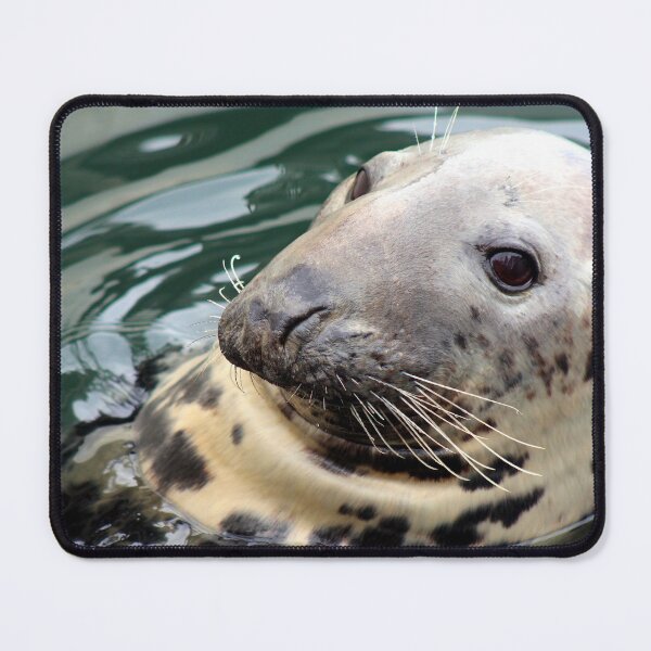 Item preview, Harbor Seal Side Profile designed and sold by Linda Sannuti.