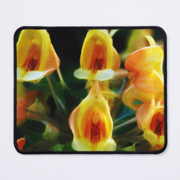 Item preview, Yellow Flowers With Scoops designed and sold by bloomingvine.