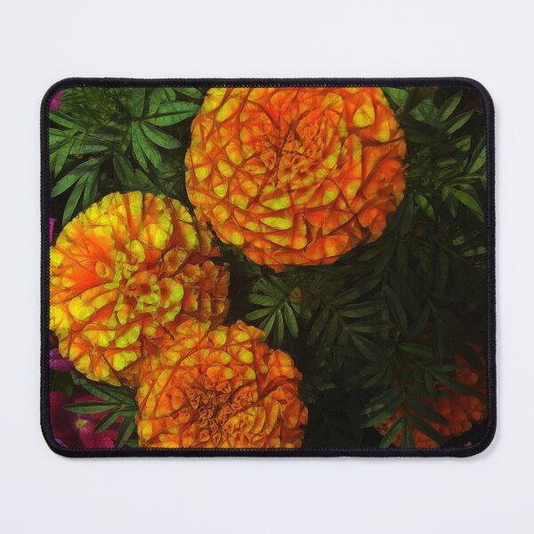 Item preview, Large Marigolds designed and sold by bloomingvine.