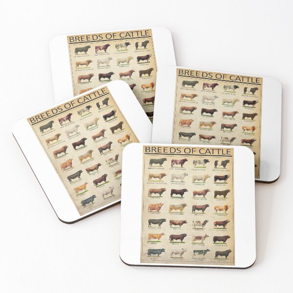 Item preview, Breeds Of Beef Cattle Poster designed and sold by geraliobened.