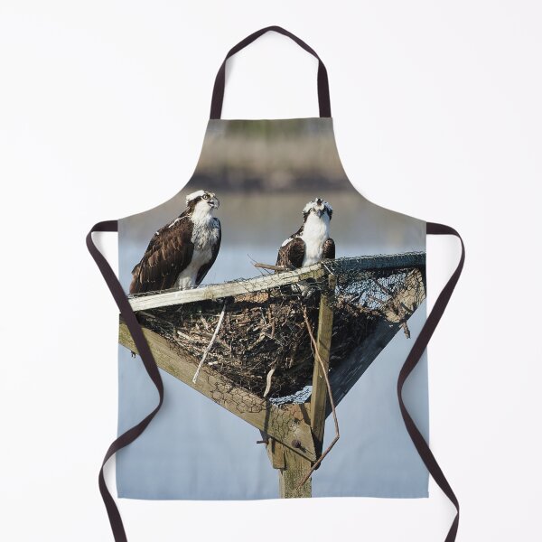 Item preview, Mother Osprey and baby designed and sold by KDartisticeye.
