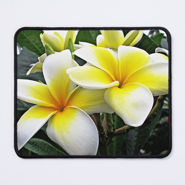 Item preview, Frangipani  designed and sold by Ethna Gillespie.