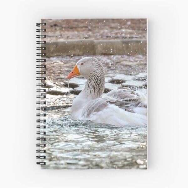 Item preview, Domestic Goose, Greylag Goose (Anser anser) designed and sold by Olimpia Negura.