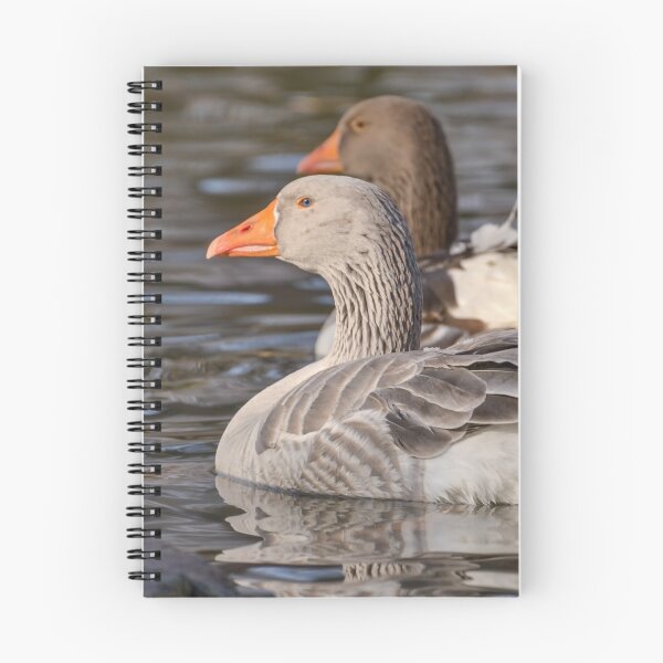 Item preview, Domestic Goose, Greylag Goose (Anser anser) designed and sold by Olimpia Negura.