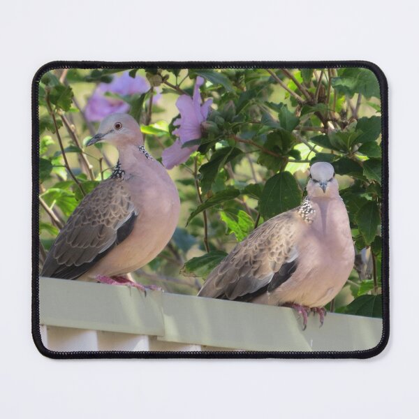 Item preview, Just Visiting designed and sold by Honey Myrtle Studio.