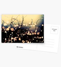 Where wishes come true. Postcards