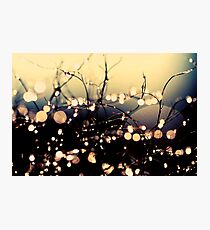 Where wishes come true. Photographic Print