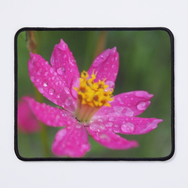 Item preview, flowers and dreams V designed and sold by HUNSA.