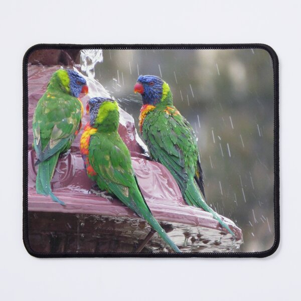 Item preview, Time for some Gossip! designed and sold by Honey Myrtle Studio.