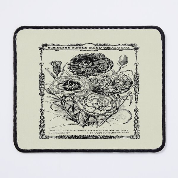 Item preview, Spring Catalogue Dianthus Vintage Botanical Illustrations 1877 designed and sold by taiche.
