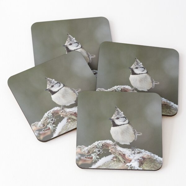 Item preview, Crest up. European crested tit designed and sold by Jouko Lehto Photography.