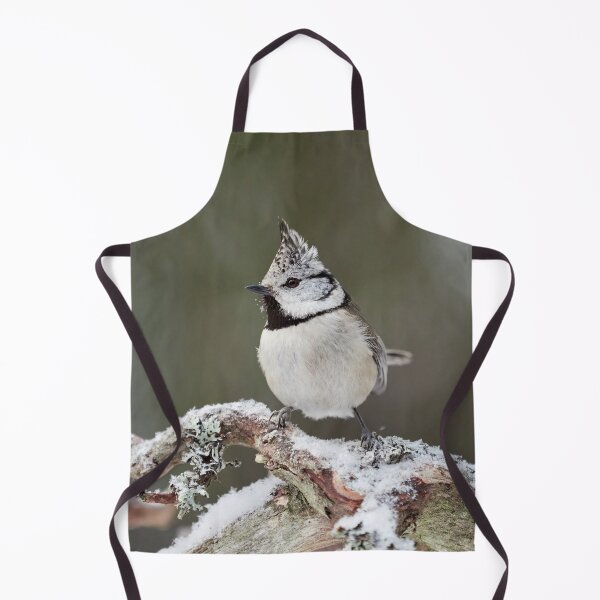 Item preview, Crest up. European crested tit designed and sold by Jouko Lehto Photography.
