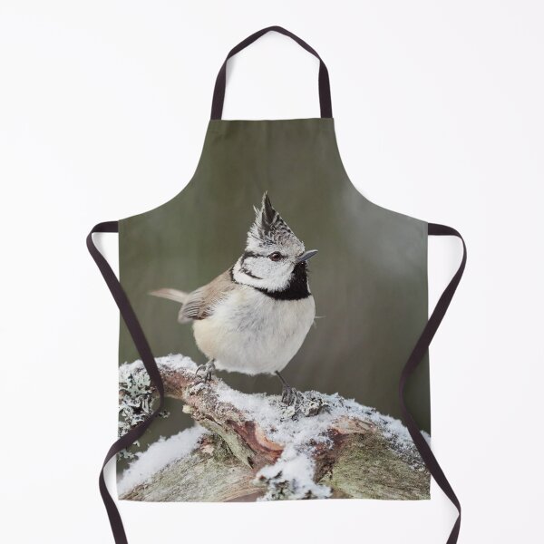 Item preview, Spot on. European crested tit designed and sold by Jouko Lehto Photography.