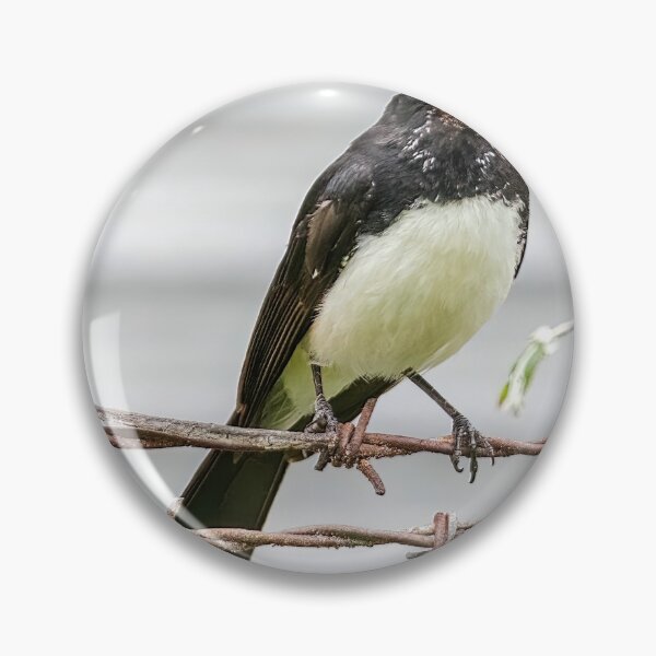 Item preview, Willie Wagtail 2 designed and sold by Peter Hocking.