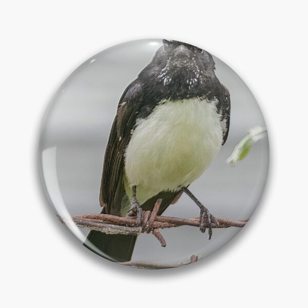 Item preview, Willie Wagtail 3 designed and sold by Peter Hocking.
