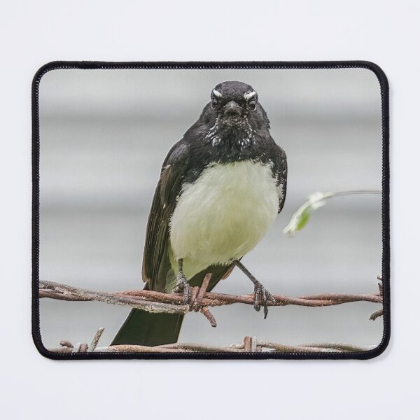 Item preview, Willie Wagtail 3 designed and sold by Peter Hocking.