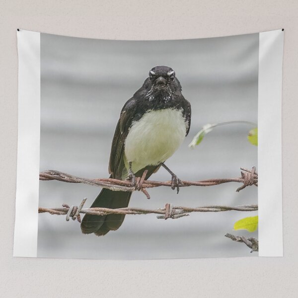 Item preview, Willie Wagtail 3 designed and sold by Peter Hocking.