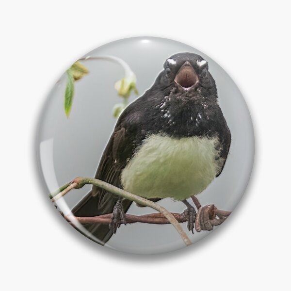 Item preview, Willie Wagtail 4 designed and sold by Peter Hocking.