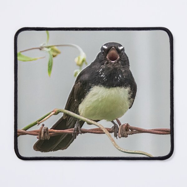 Item preview, Willie Wagtail 4 designed and sold by Peter Hocking.