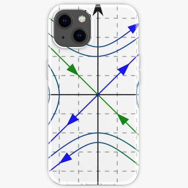 The singular points of the integral curves.  Saddle iPhone Soft Case