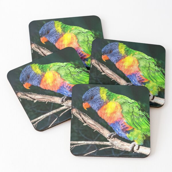 Artikelvorschau, Regenbogen Lorikeet entworfen und verkauft von Peter Hocking.