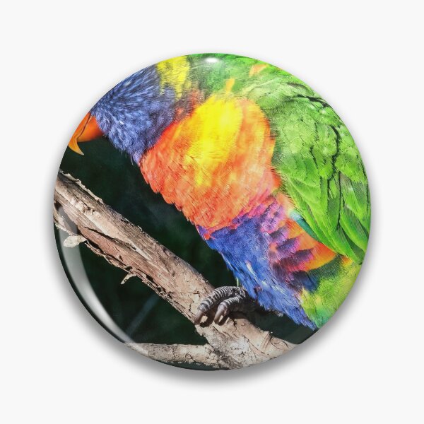 Artikelvorschau, Regenbogen Lorikeet entworfen und verkauft von Peter Hocking.