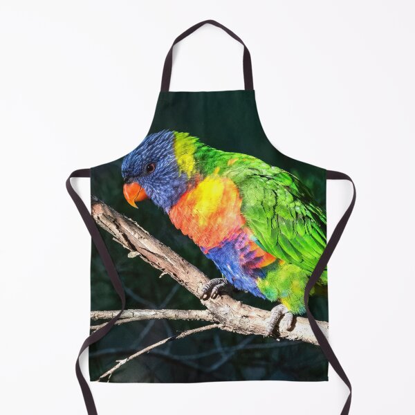 Item preview, Rainbow Lorikeet designed and sold by Peter Hocking.