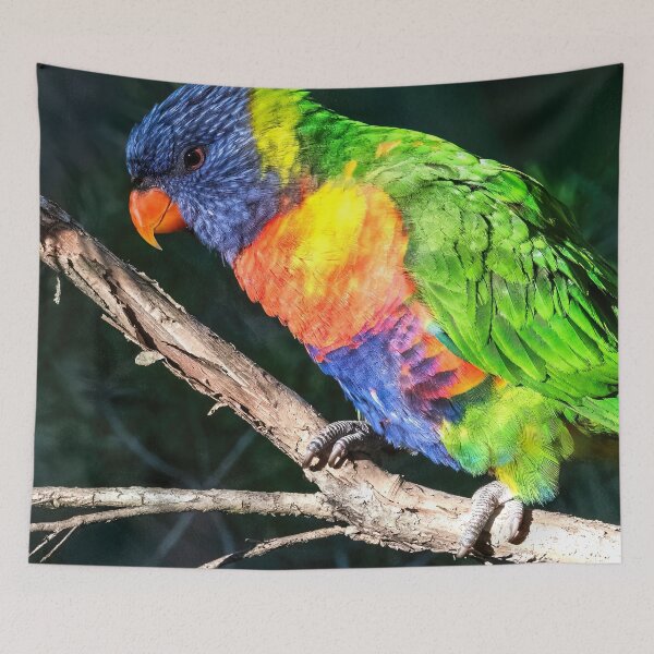 Item preview, Rainbow Lorikeet designed and sold by Peter Hocking.