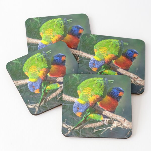 Artikelvorschau, Regenbogen Lorikeet entworfen und verkauft von Peter Hocking.
