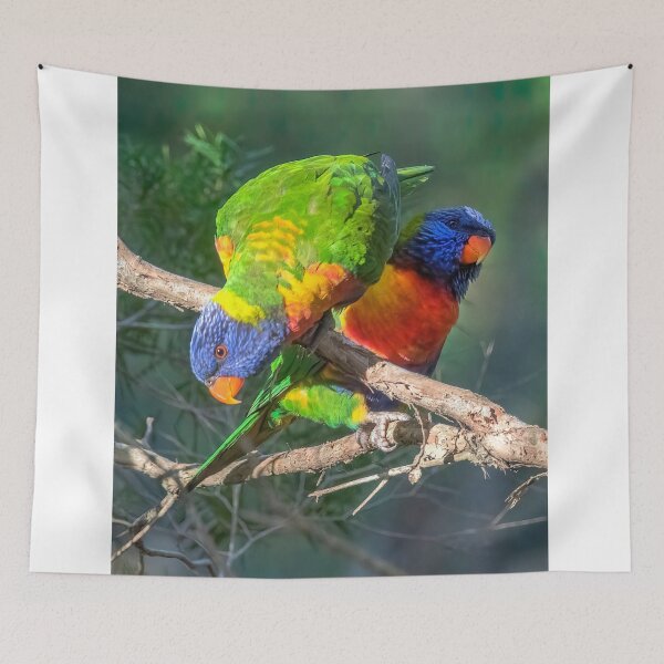 Item preview, Rainbow Lorikeet designed and sold by Peter Hocking.