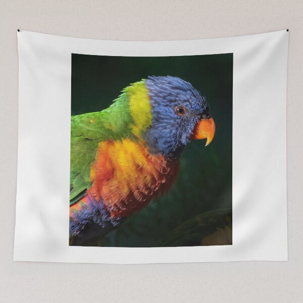 Item preview, Rainbow Lorikeet 3 designed and sold by Peter Hocking.