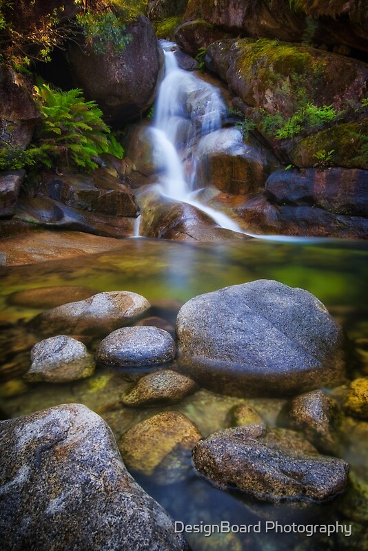 "The Beautiful Ladies Bath Falls" by DesignBoard Photography | Redbubble