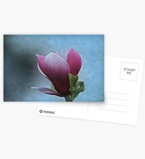 Solitude Postcards